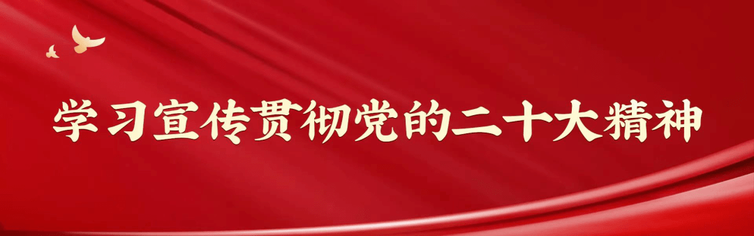 顶图.png
